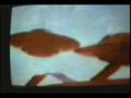 UNIDENTIFIED FLYING OBJECT UFO USO OVNİ VIDEO Default