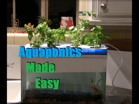 the way to build a closet hydroponics machine