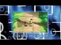 Upcoming 3DS Games 2013-2014