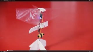 Robot dragonfly DelFly Explorer flies autonomously