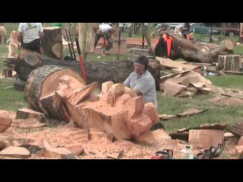 Chainsaw Wood Carvings