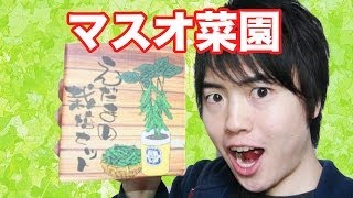 夏に向けて作ったものは？マスオ菜園デビュー！