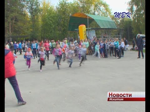608 искитимцев приняли участие в «Кроссе нации-2017»
