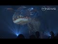How to Train your Dragon