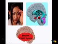 The Neuroscience of Emotions