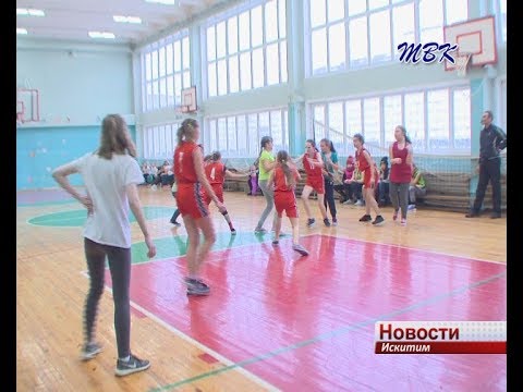 Первенство школьниц по баскетболу стартовало в Искитиме Первенство школьниц по баскетболу стартовало в Искитиме