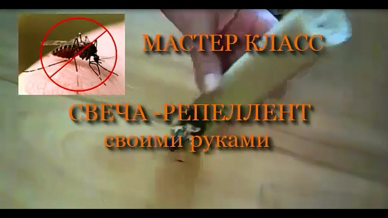Чем отпугивать комаров своими руками Чем отпугивать комаров своими руками