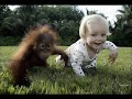 Very Funny Moments With Babies