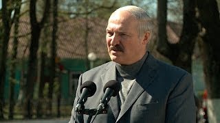Беларусь не хотела бы братоубийственной войны в Украине и гибели там людей - Лукашенко
