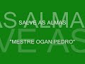 Galeria de Vdeos