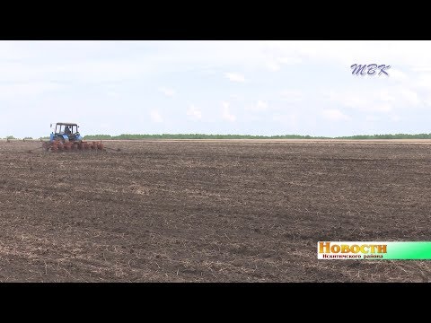 Сеять новое и убирать прошлогоднее. ЧС в сельском хозяйстве района ставит аграриев перед нелёгким выбором Сеять новое и убирать прошлогоднее. ЧС в сельском хозяйстве района ставит аграриев перед нелёгким выбором