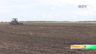 Сеять новое и убирать прошлогоднее. ЧС в сельском хозяйстве района ставит аграриев перед нелёгким выбором