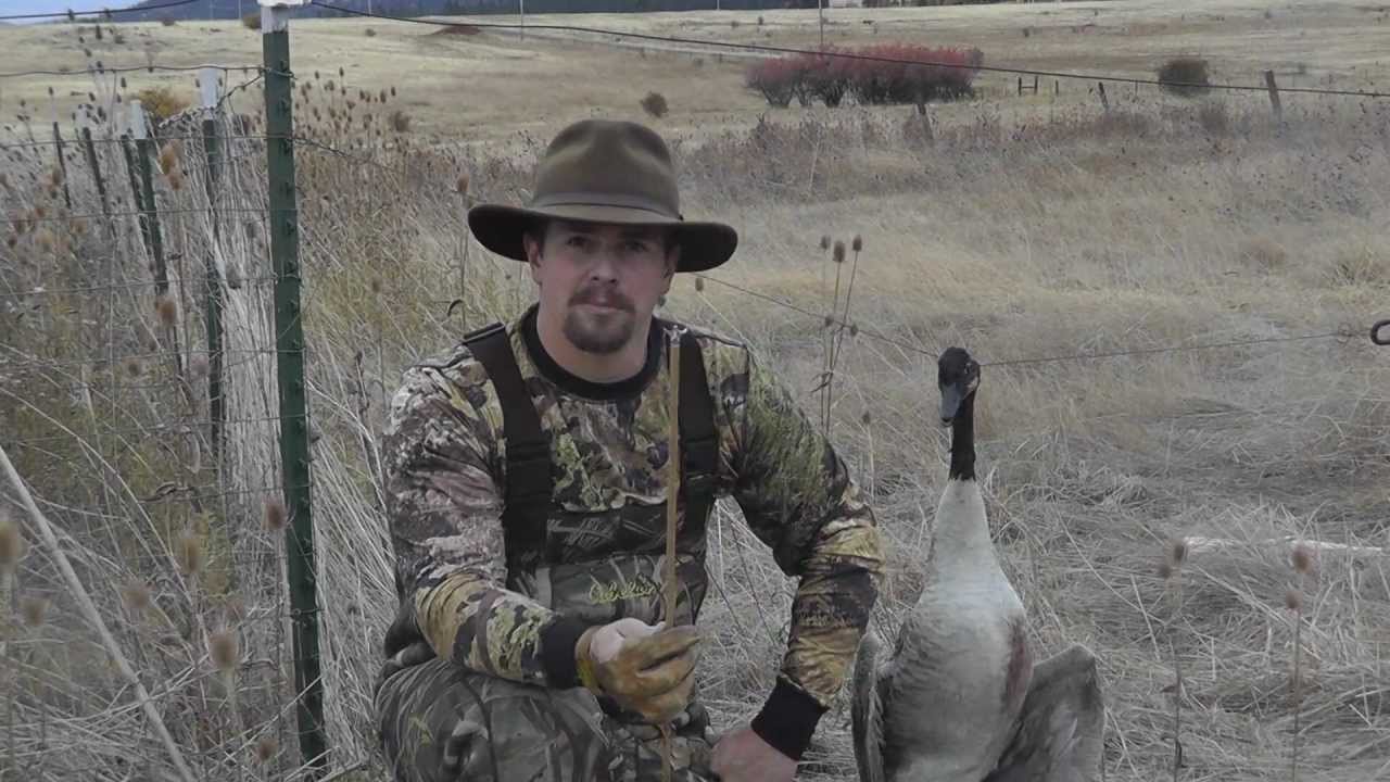 G5+SGH G5 SGH Vs Canadian Goose - Flu Flu Arrow Penetration Test - In Flight ...