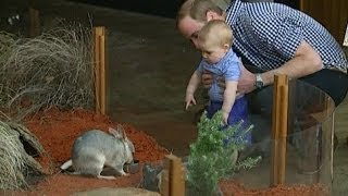 Prince George goes to the Zoo with Kate and Wills in Australia