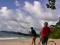 Pancing Ikan Pari 19.5 kg segari perak