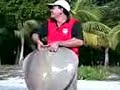 Pancing Ikan Pari 19.5 kg segari perak