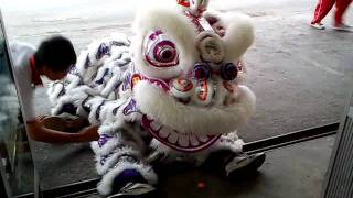 smk chung hua miri lion dance.3gp view on youtube.com tube online. smk chung hua miri lion dance.3gp view on youtube.com tube online.