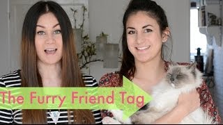 The Furry Friend Tag