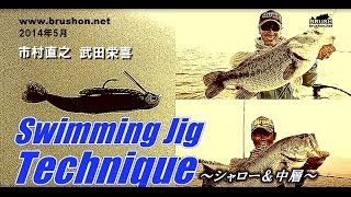 スイミングジグテクニック ～シャロー＆中層～ /市村直之・武田栄喜/琵琶湖