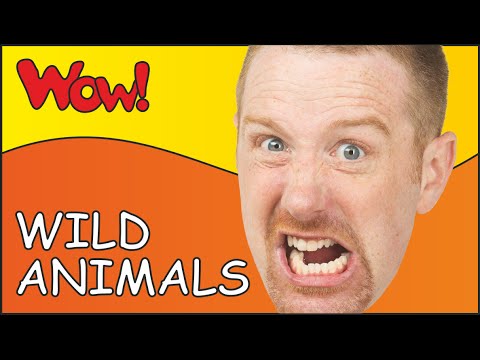 Steve and Maggie Racing through a Wild Animal Safari | Learn English Kids in English funny stories