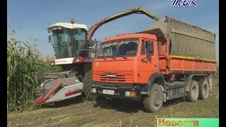 Подведены первые итоги сельскохозяйственных экспериментов в Искитимском районе
