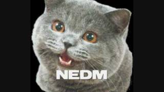 NEDM