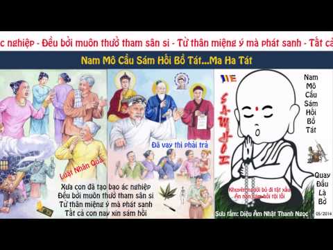 Xin Cho Con Sám Hối