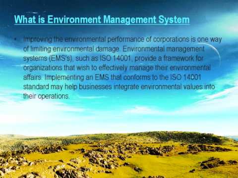 What Is Environment