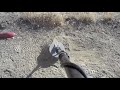 Gold Nugget Hunting with nvchris