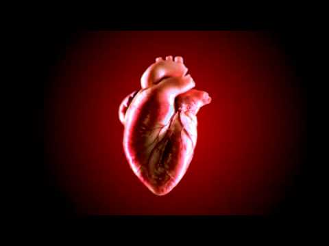 3D HEART ANIMATION 3d heart animation: