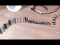 10,000 iPhone 5 Domino