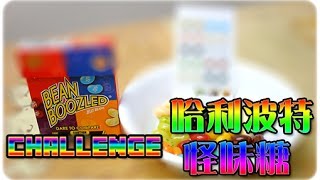 [Hins Challenge] 試食→哈利波特怪味糖