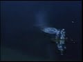 Thumbnail 1 for 1945 Pacific P-51 Gun Camera Raw Footage Thumbnail 1 for 1945 Pacific P-51 Gun Camera Raw Footage