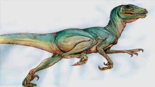 Dromaeosaurid Dinosaur