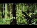 
new teaser from Freeride