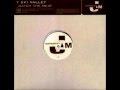 T Ski Valley Catch The Beat (Dimi & Mousse T s Old School Mix)