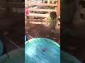 My crazy child. I think she practicing for Wipeout.
