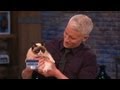 Grumpy Cat in the House!