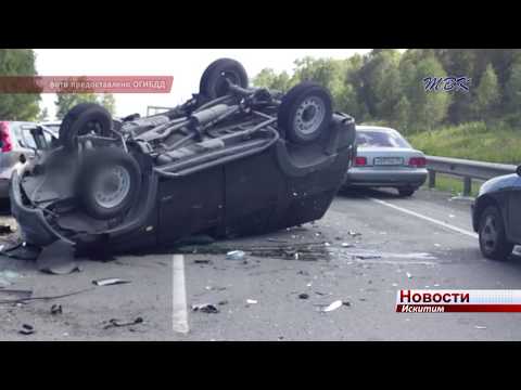 Полиция начала расследование по факту гибели в ДТП семилетней девочки