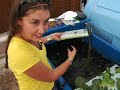 Urban Farming: Hydroponics in the City
