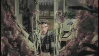 Click to View : The Little Shop of Horrors (1960)