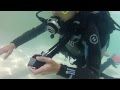 Baptême d'Aurélie et Gilles en VIP à Attalens avec Chrisdiving