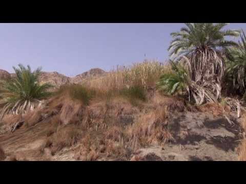 Sinajská poušť a oázy v horách