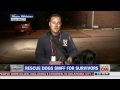 Rescue dogs help find storm survivors