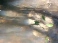 Il suono dell'acqua