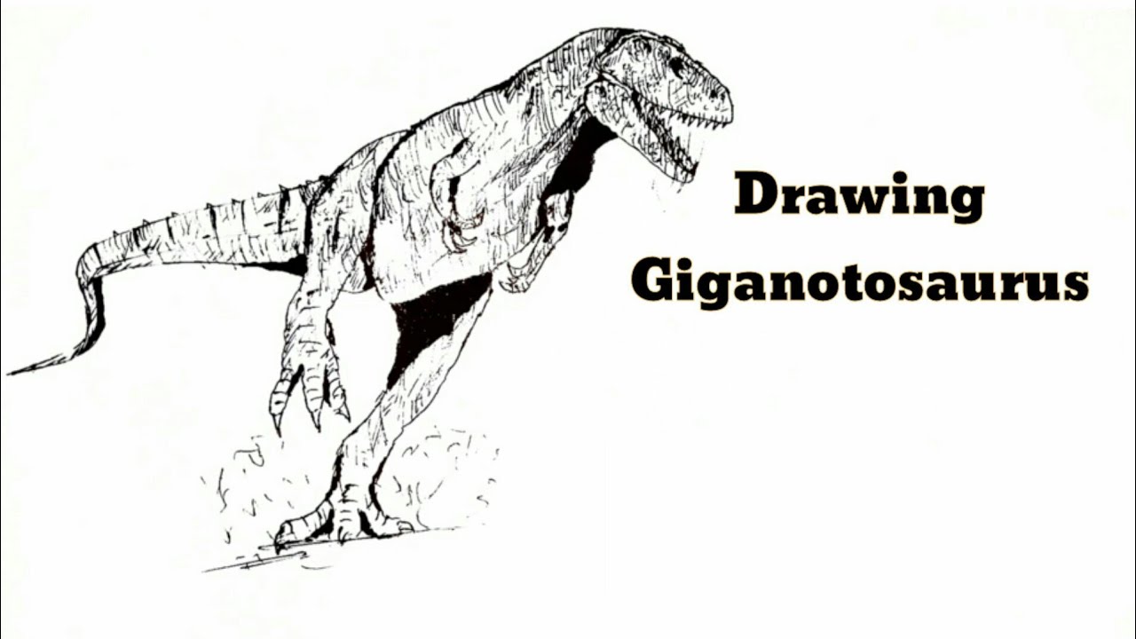 How To Draw A Giganotosaurus Step By Step