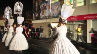 Dunedin Midwinter Carnival 2013