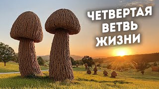 Таинственные башни из окаменелостей оказались утраченной формой жизни