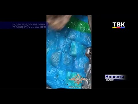 Тайник на 60 млн рублей в авто. Полицейские НСО перехватили оптовую партию синтетических наркотиков Тайник на 60 млн рублей в авто. Полицейские НСО перехватили оптовую партию синтетических наркотиков