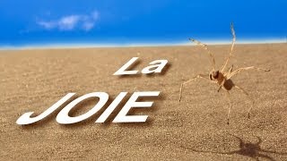 La joie